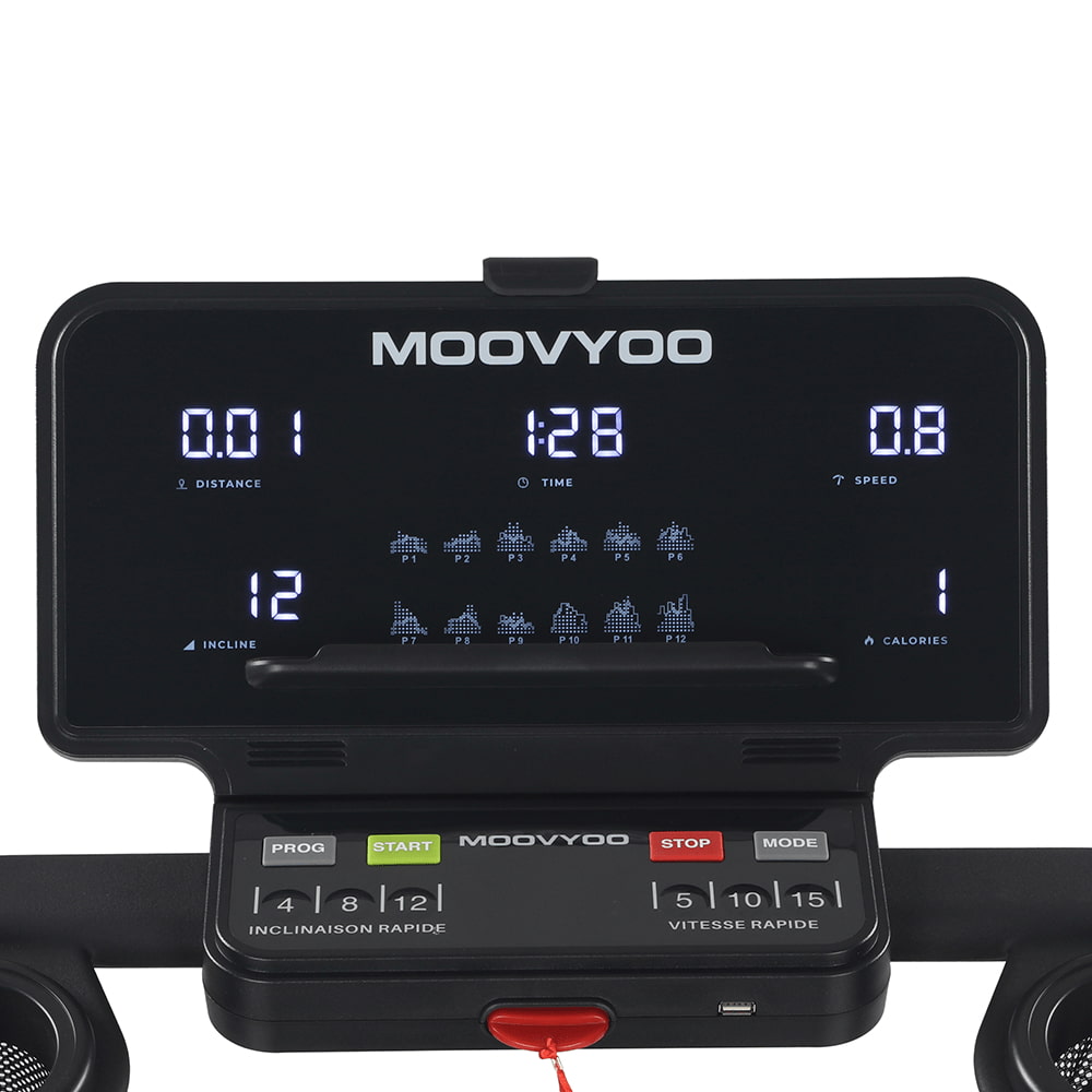 Léopard Reconditionné