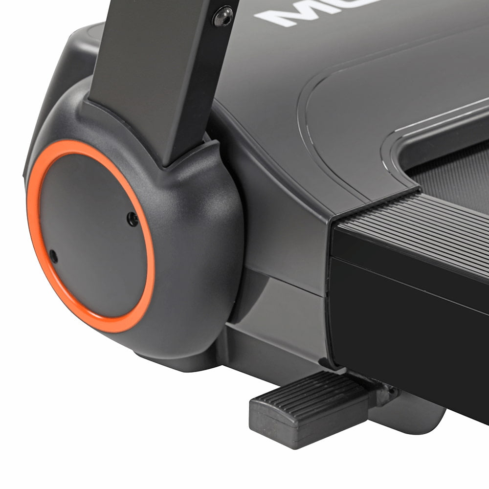 Léopard Reconditionné