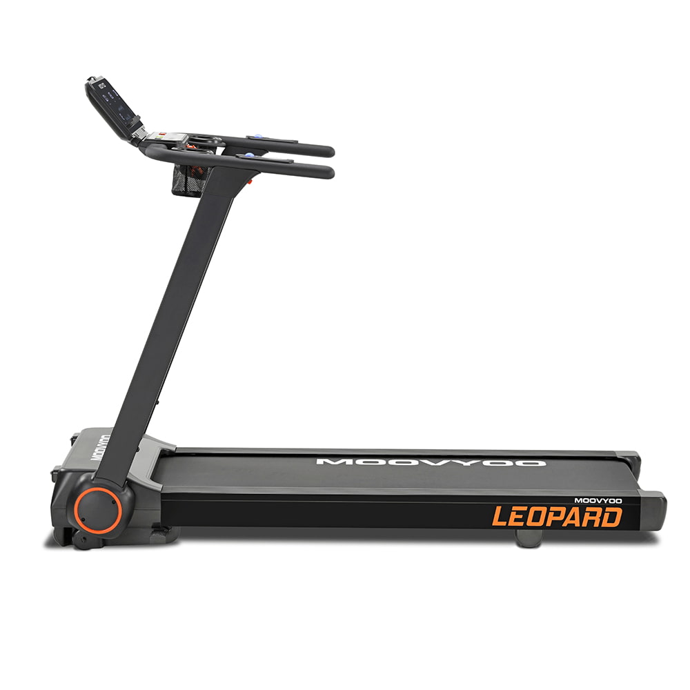 Léopard Reconditionné