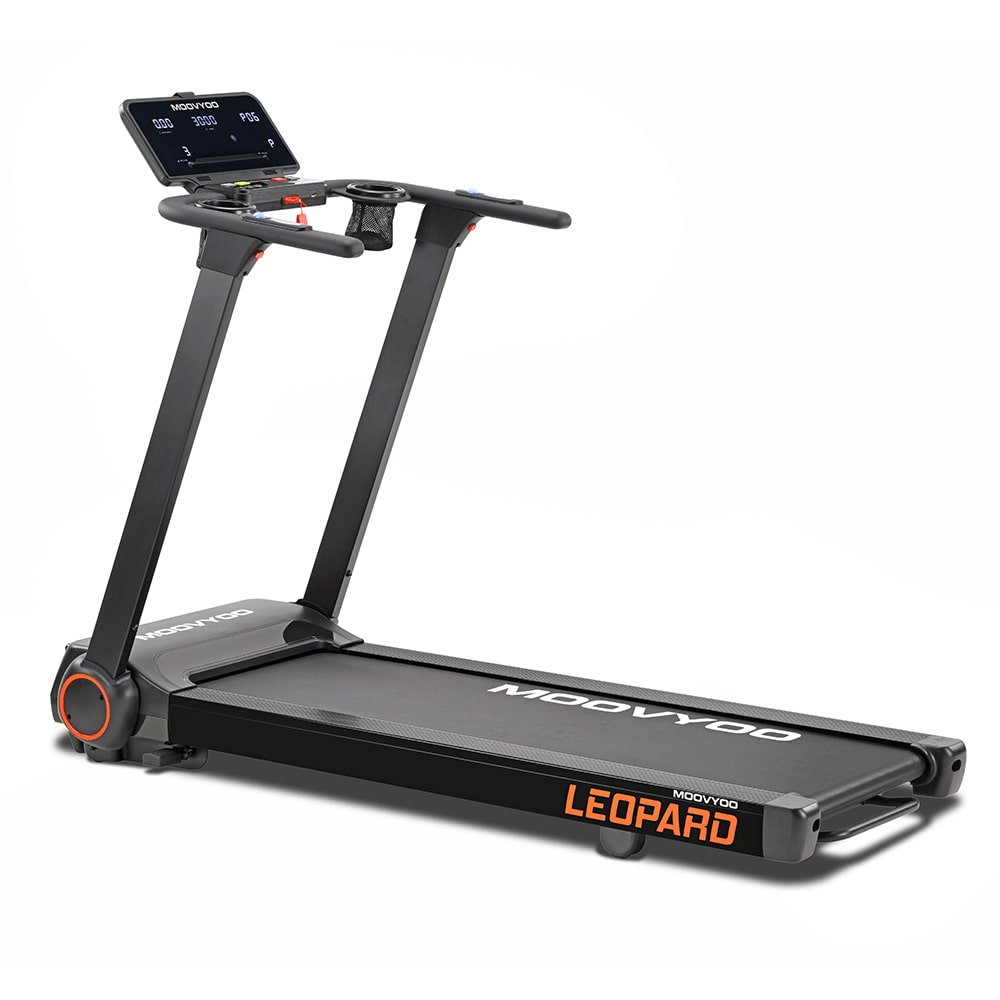 Léopard Reconditionné