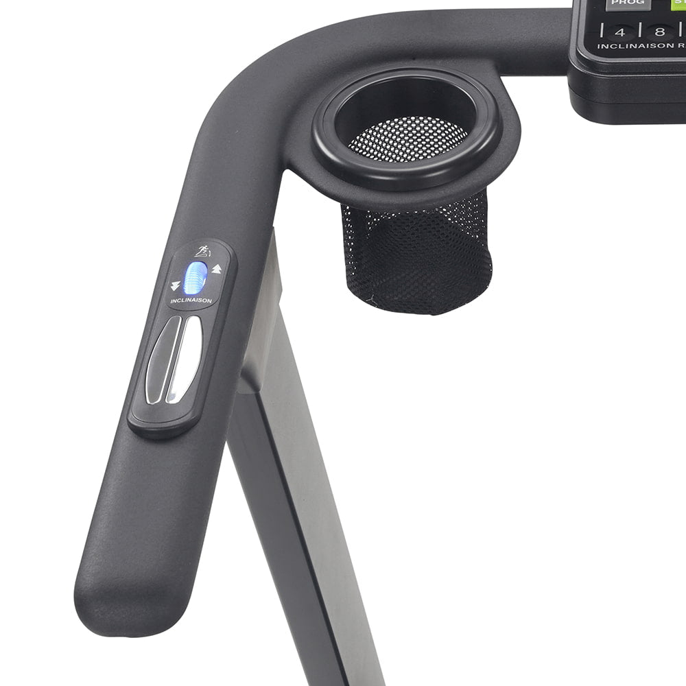 Léopard Reconditionné