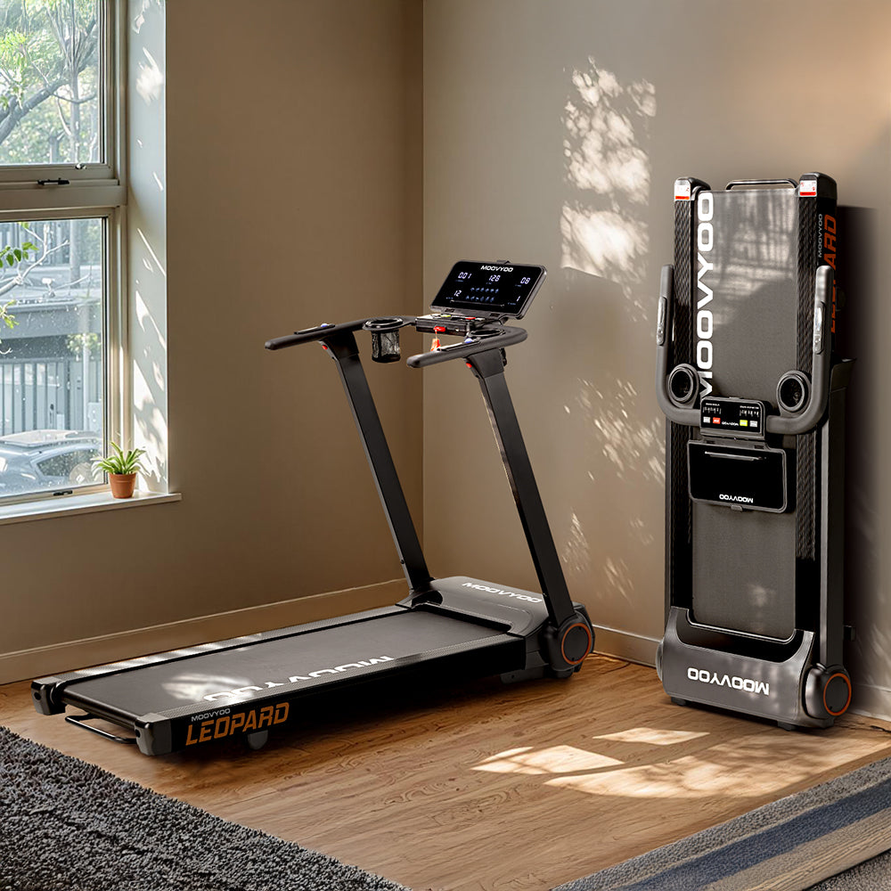 Léopard Reconditionné