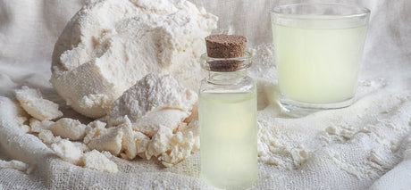 Différence entre whey et isolate : quel choix pour vous ?