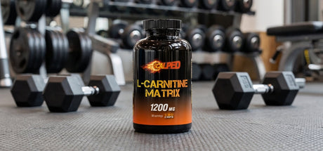 Quand prendre la L-Carnitine ?