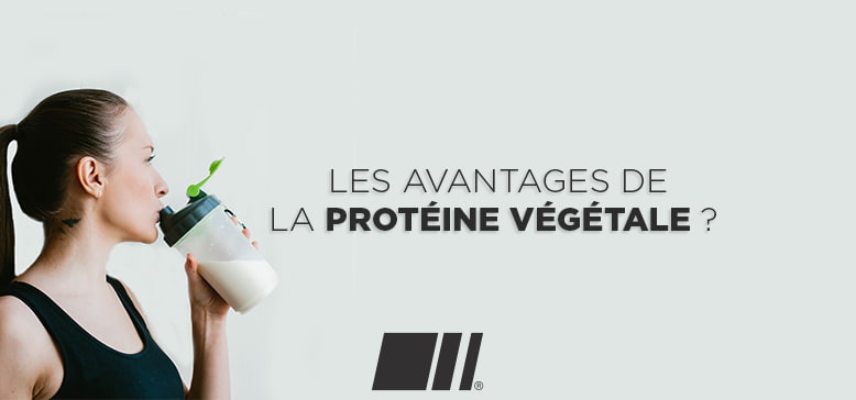 Quels sont les avantages de la Protéine Végétale ?