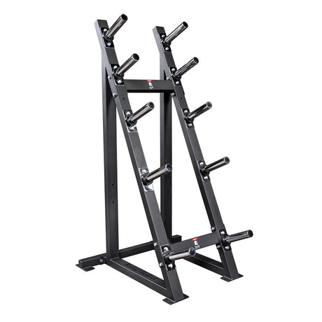 High Capacity Olympic Plate Rack BODYSOLID - FitnessBoutique