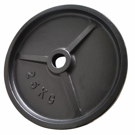 Disque de fonte 51mm - 10kg