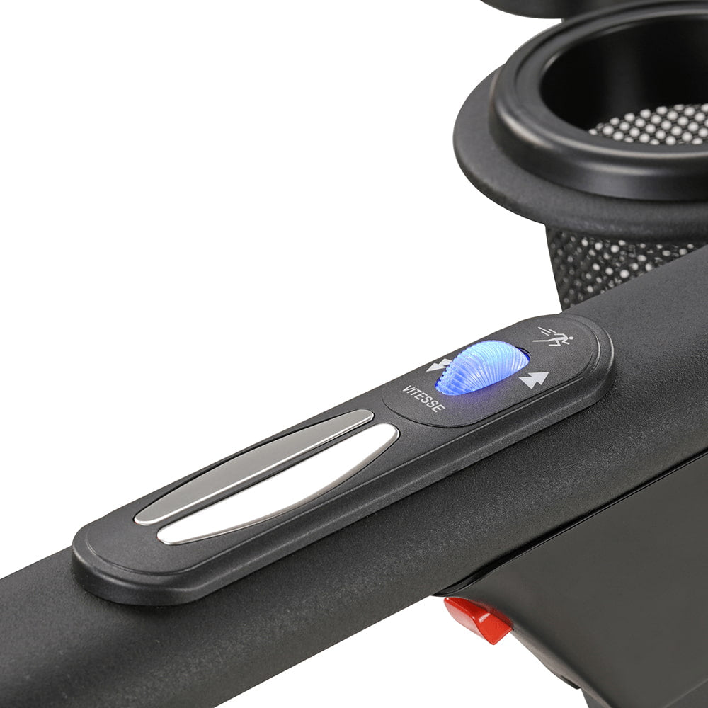 Léopard Reconditionné