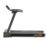 Léopard Reconditionné