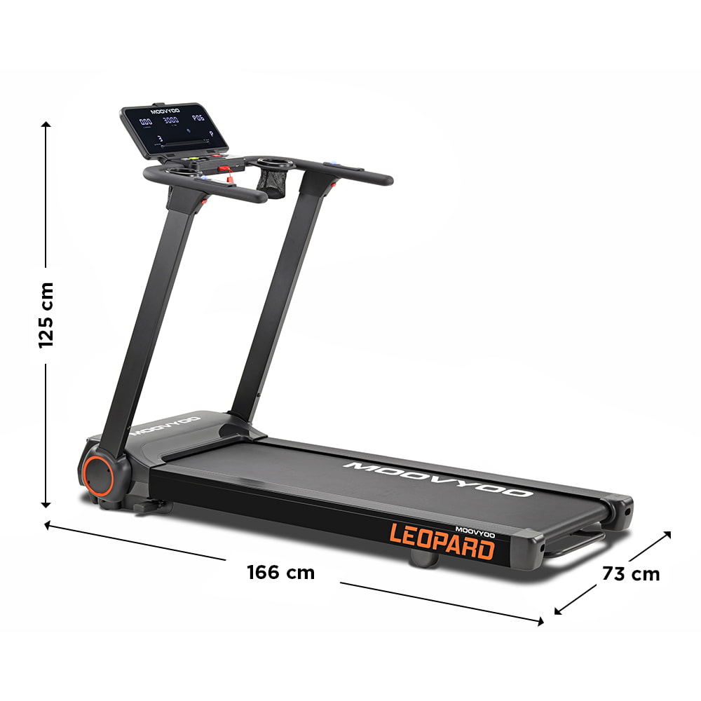 Léopard Reconditionné